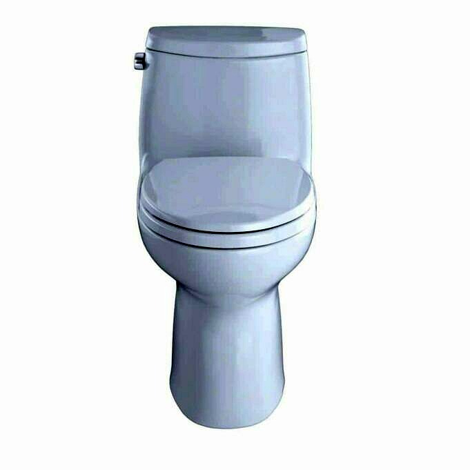 Toto Ultramax II MS604114CEFG 01 Toilet Review